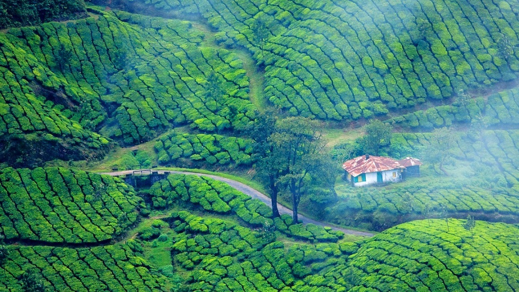 Munnar Tour Package